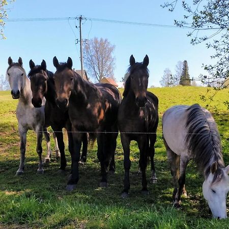 Eha Farmstay Rõuge Εξωτερικό φωτογραφία